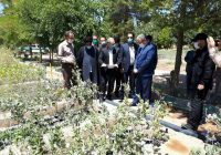 وزیر جهاد کشاورزی از نهالستان ایوان بازدید کرد/ اقدامات منابع طبیعی ایلام در تولید نهال قابل تقدیر است