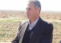 ایلام پیش قراول و طلیعه دار کشور در تولید نهال